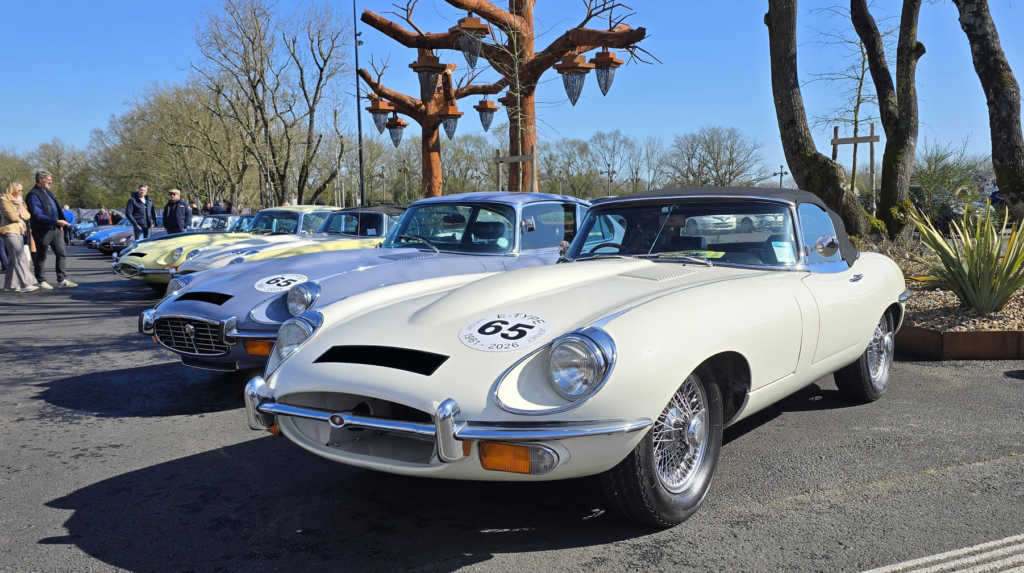 Jaguar Type E exposée lors des 65 ans de la Jaguar