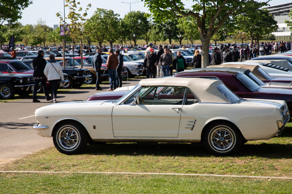 Même si les générations les plus récentes séduisent, la Mustang première du nom reste la préférée de beaucoup de collectionneurs.